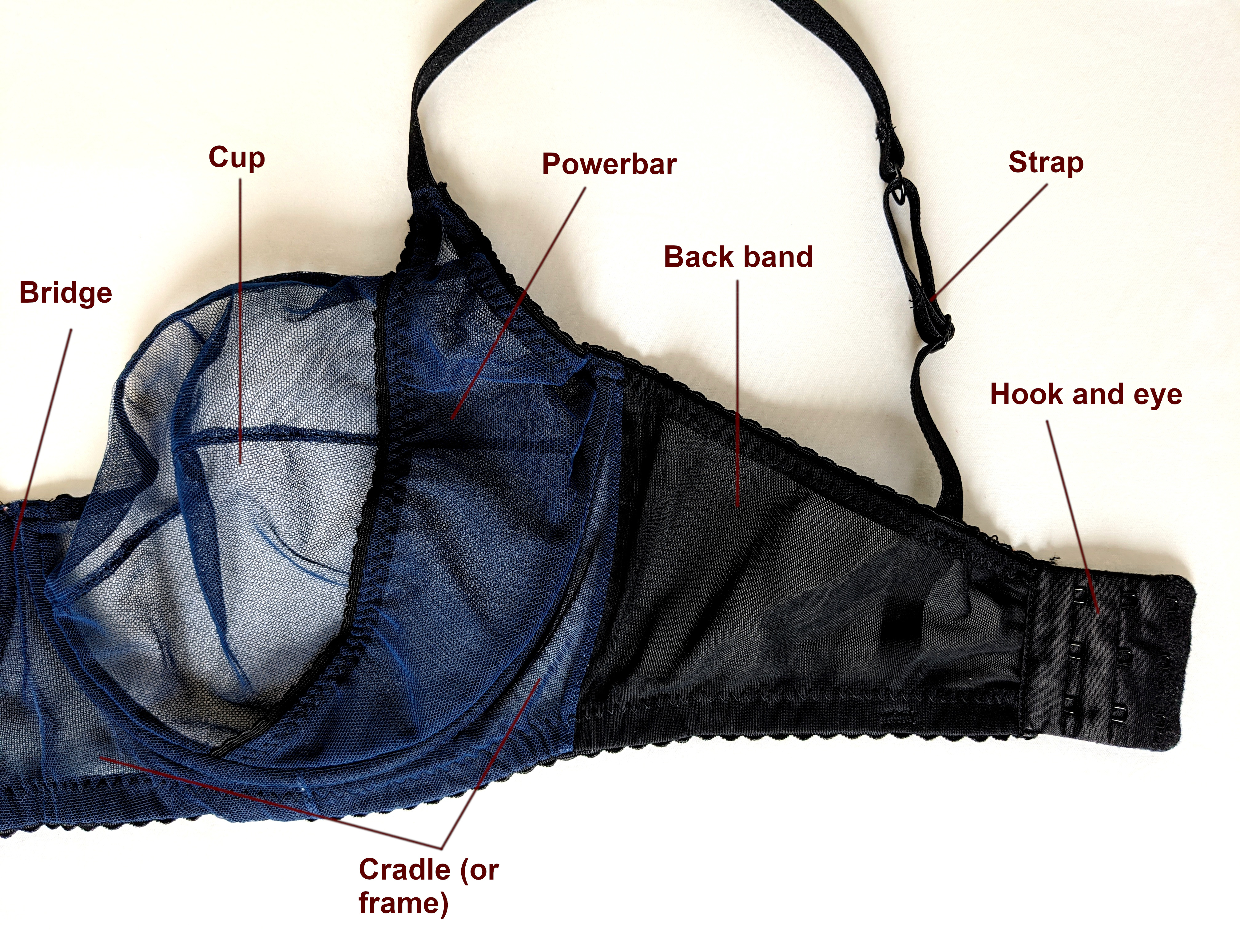 Anatomy of a bra